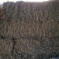 ballette fieno terzo taglio