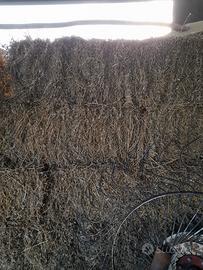 ballette fieno terzo taglio