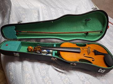 Violino