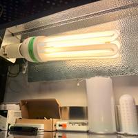 Riflettore Lampada CFL + Luce 5U CFL 150W 2100K