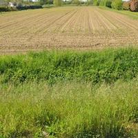 Terreno di 32.000 mq con rustico