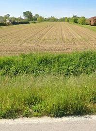 Terreno di 32.000 mq con rustico