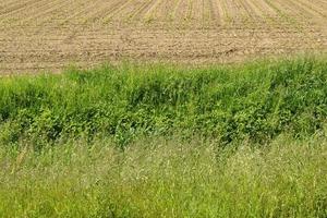 Terreno di 32.000 mq con rustico