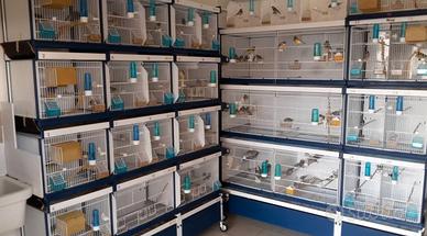 Sistema professionale gabbie della Italgabbie