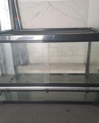 Terrario grande in vetro