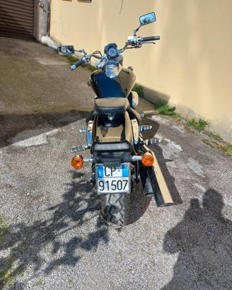 Suzuki introdurre VZ 800M
