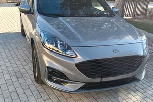 kuga 2020