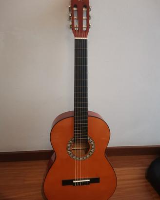 chitarra acustica Roling's