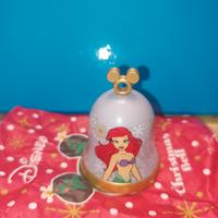 campanella Conad 2026