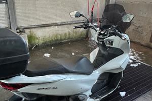 pcx 125 2019