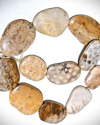Filo di pietre di corallo fossile