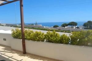 22 Agosto 5 Settembre SALENTO 200M fronte mare