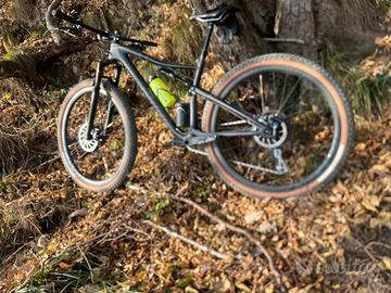 Specialized Epic Expert