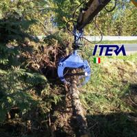 Pinza Legna 80cm +Rotatore Idraulico 10qli