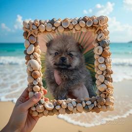 Spitz