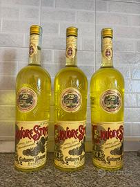 Strega alberti