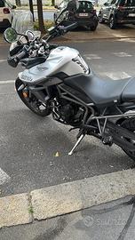 Tiger 800 xrx