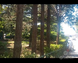 Miniappartamento fronte mare con parcheggio