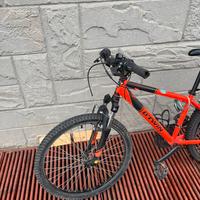 Mtb 24