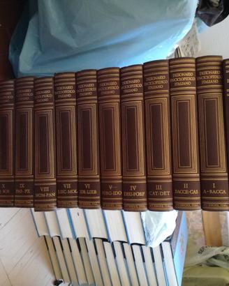 DIZIONARIO ENCICLOPEDICO ITALIANO, 14 Volumi,