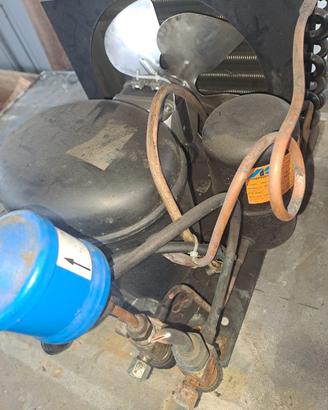 Compressori frigoriferi