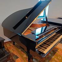 Pianoforte a coda KAWAI RX-2