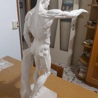 statua in gesso 