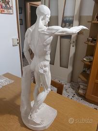 statua in gesso 