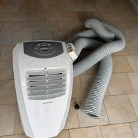 pinguino condizionatore