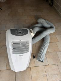 pinguino condizionatore