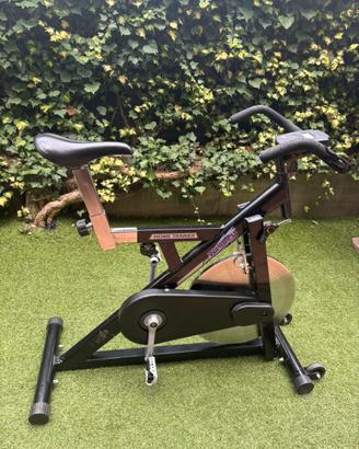 Spin bike home trainer welness