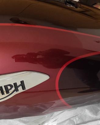 Triumph Thunderbird 1600 (B16BA) ricambi 