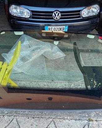 parabrezza VW troc
