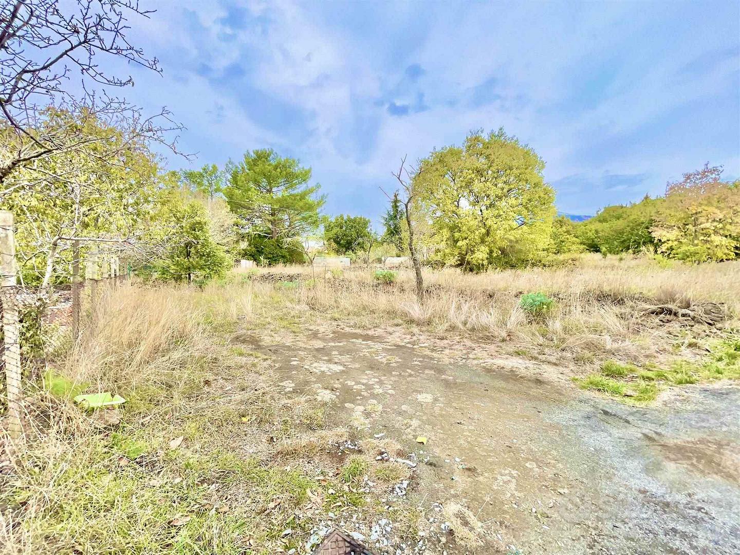 Rif.GL219| terreno agricolo belpasso - Vista 3