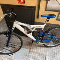 🚲 Due biciclette usate in buono stato