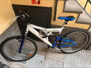 🚲 Due biciclette usate in buono stato