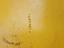 Immagine 17