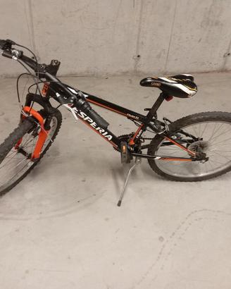 bici Esperia 