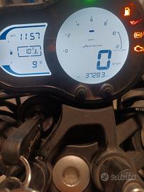 Benelli Leoncino 500 - 2020