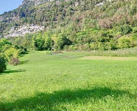 Terreno Agricolo - Ospedaletto