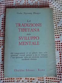 La tradizione tibetana dello sviluppo mentale Dhar