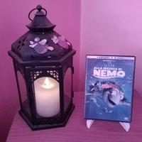 Alla ricerc di Nemo