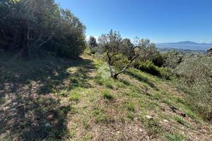 TER. RESIDENZIALE A LUGNANO IN TEVERINA