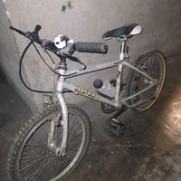 Bicicletta MTB Silver Star