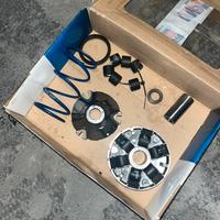 variatore polini r02