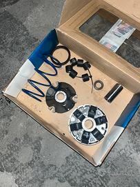variatore polini r02