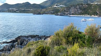 Last minute San Nicola arcella