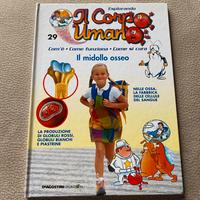 Esplorando il corpo umano il midollo osseo