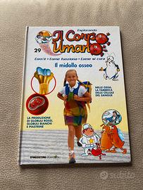 Esplorando il corpo umano il midollo osseo