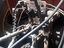 Immagine 4
